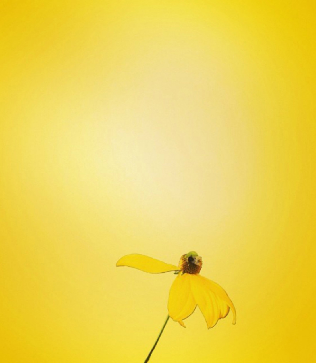 things-get-wrong-space-sun-yellow.jpg