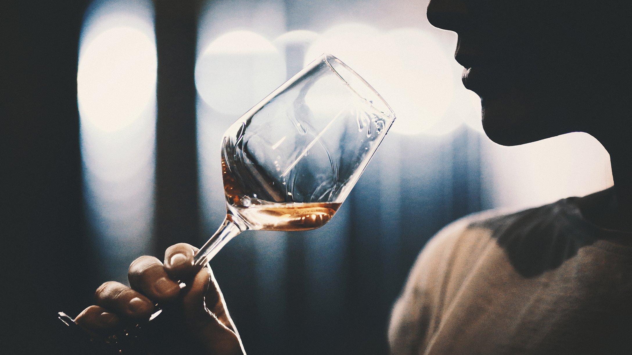 Wine tasting in wine cellar.