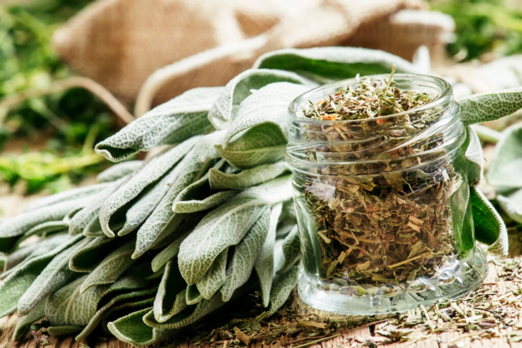 Sage Tea