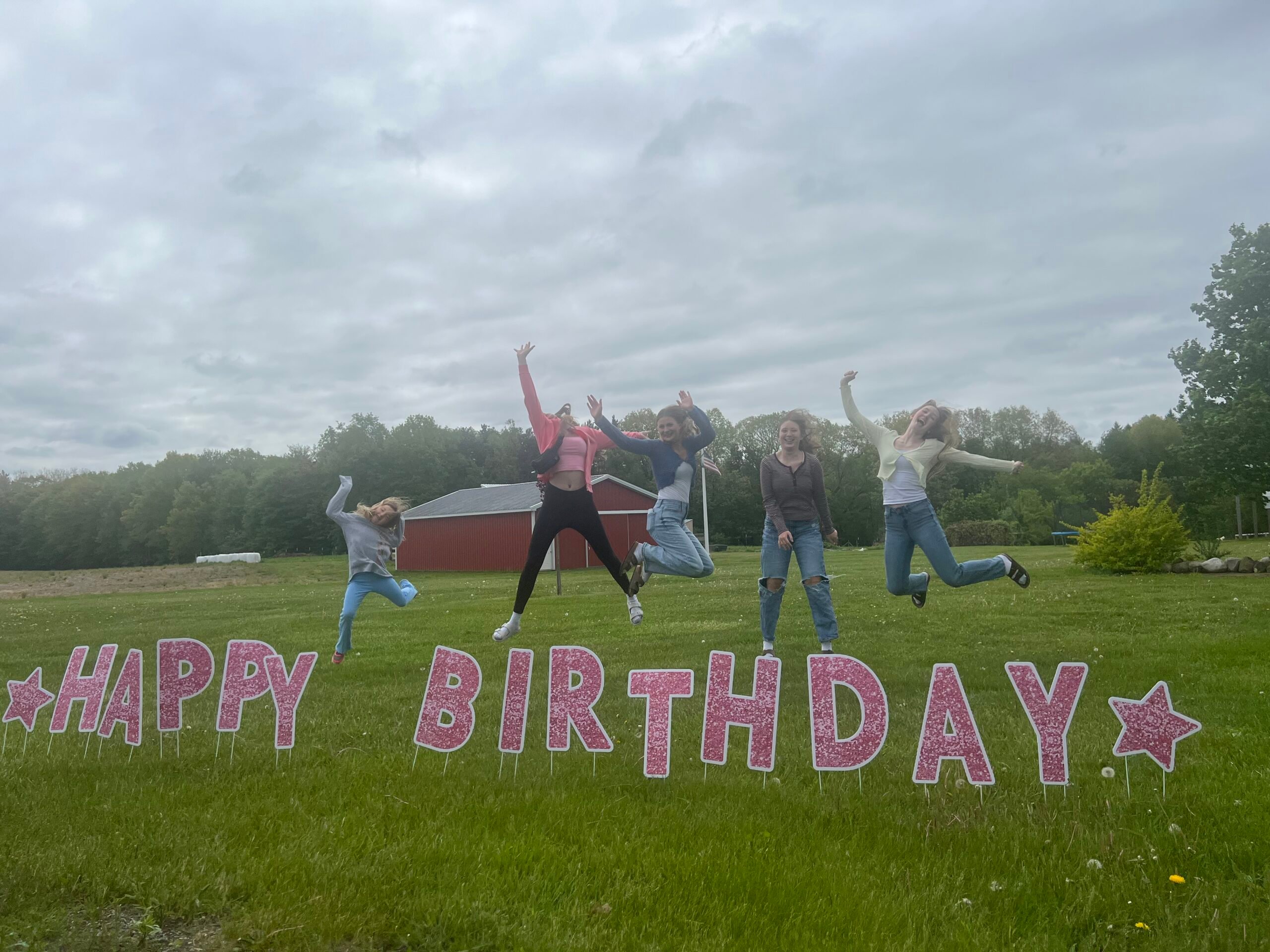 happy birthday yard sign