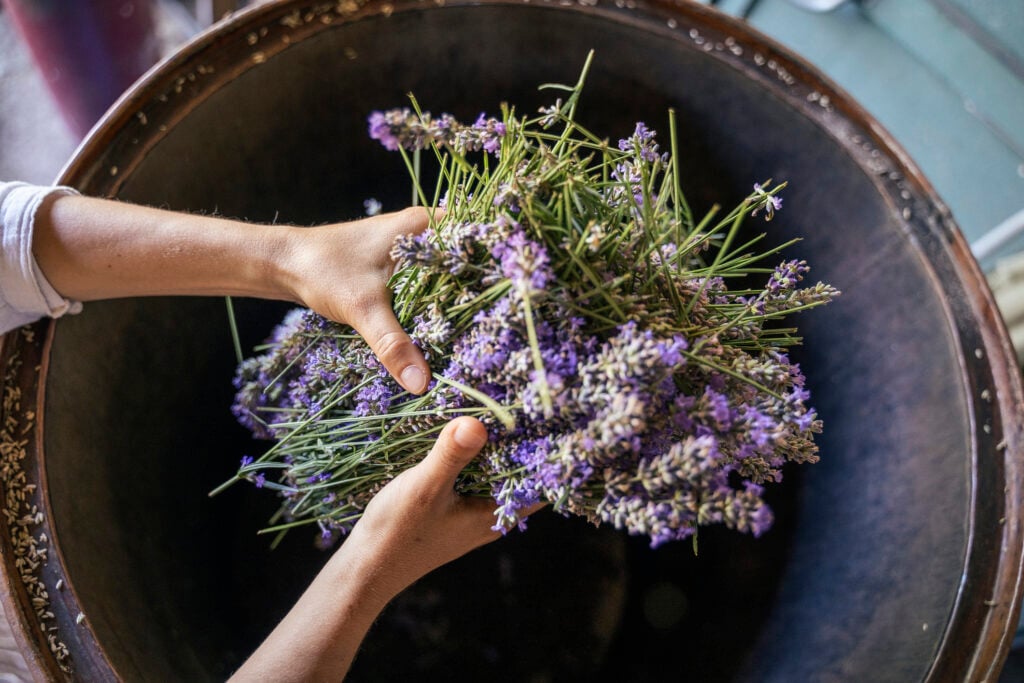 Herbal blend for yoni steaming