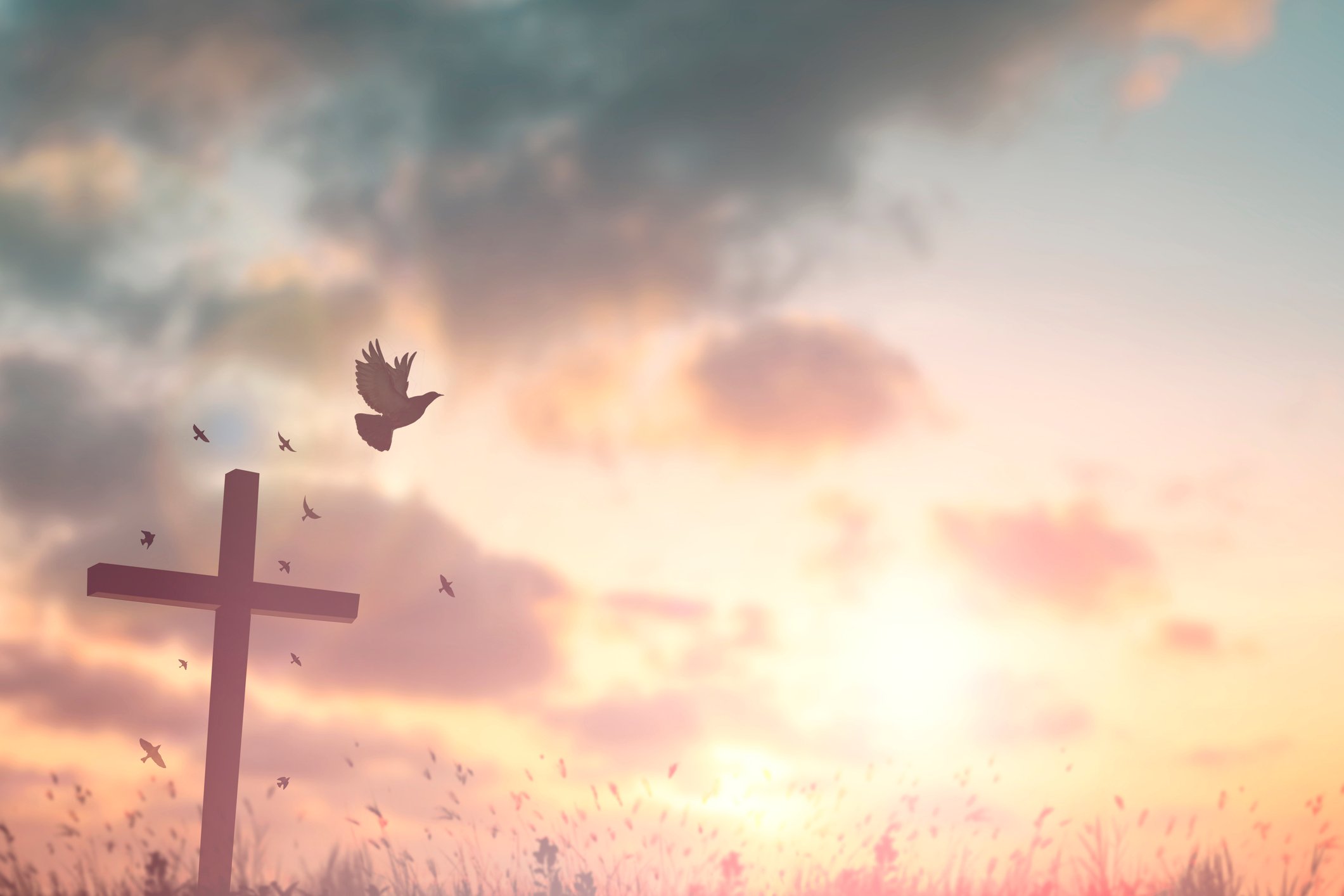 rapture