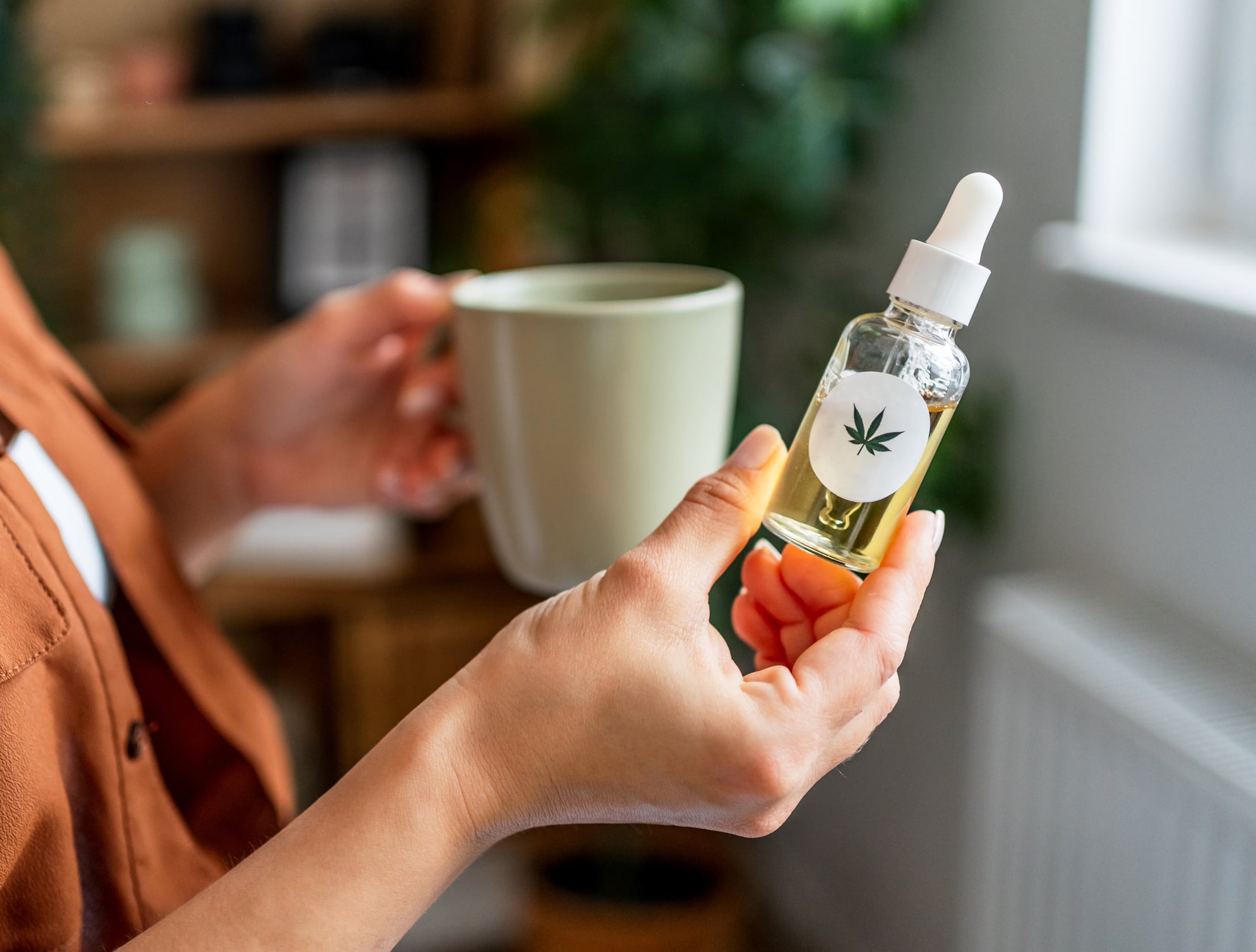cannabis oil